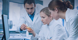 منظمة جنباً الى جنب