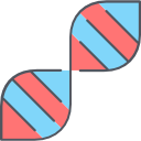 منظمة جنباً الى جنب