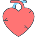 منظمة جنباً الى جنب