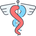 منظمة جنباً الى جنب