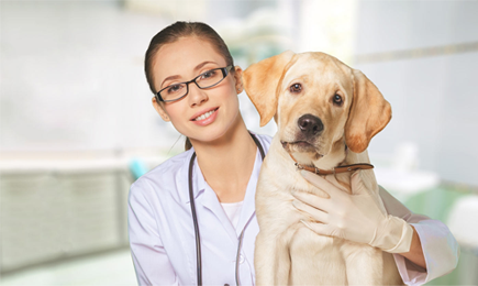 منظمة جنباً الى جنب