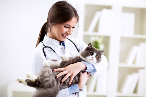 منظمة جنباً الى جنب