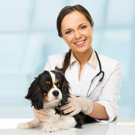 منظمة جنباً الى جنب