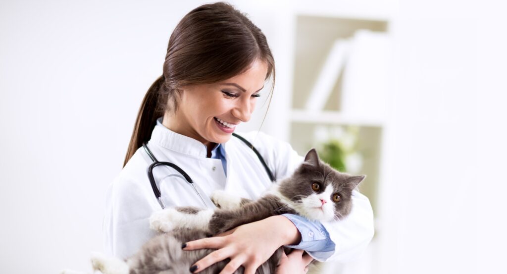 منظمة جنباً الى جنب